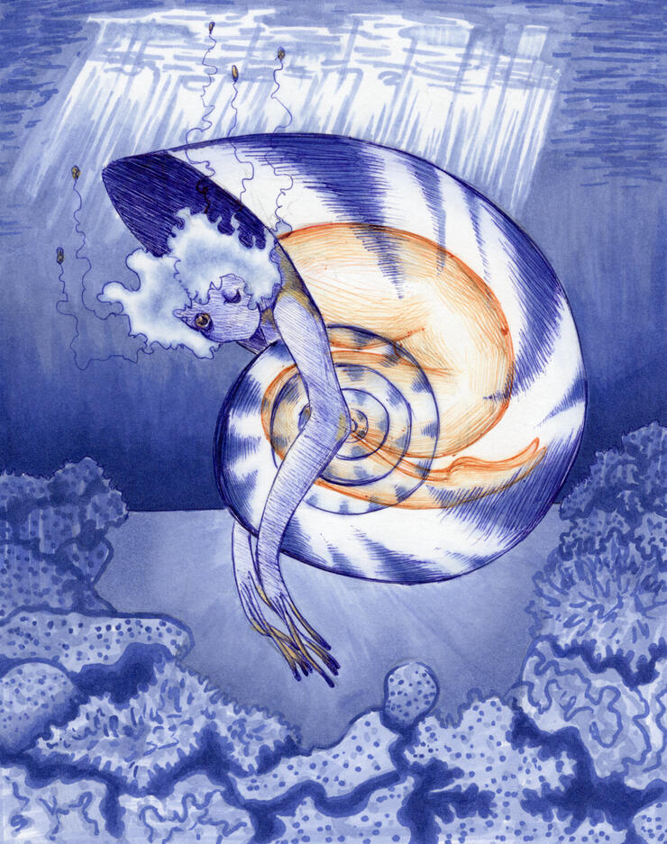 Plight of the Ammonite (2024)